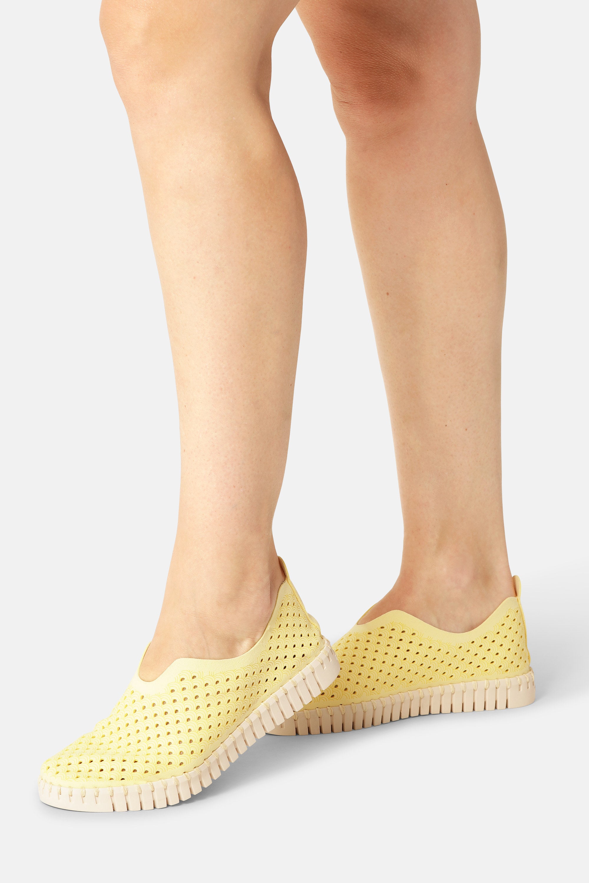 Tulip Slipper - Lemon Drop
